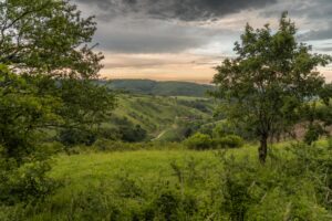 Krajina, Ždánice