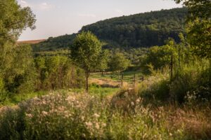 Krajina Ždánice