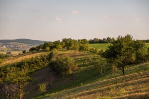 Vysílač Strážovský kopec nedaleko Ždánic